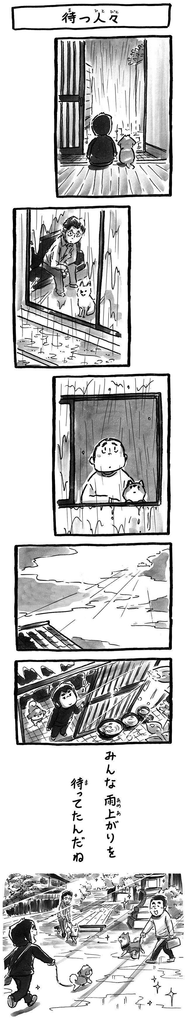 シーズー犬マンガてんぽshihtzu