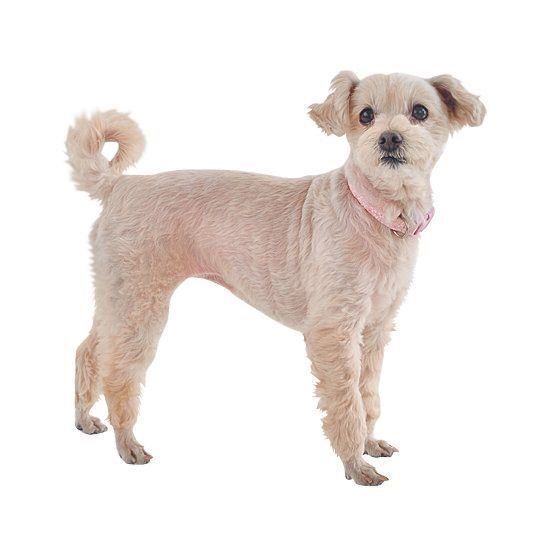 撮影／佐藤正之