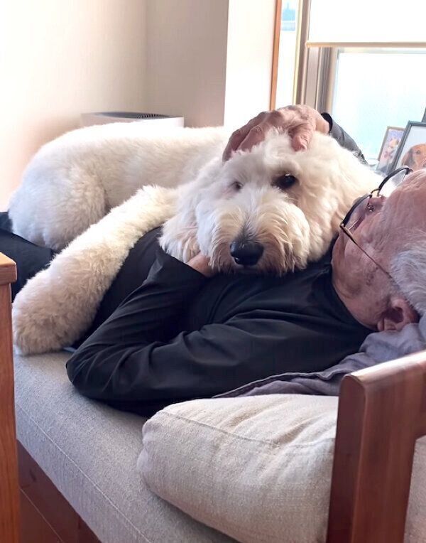 まったりするシエルくんとおじいちゃん