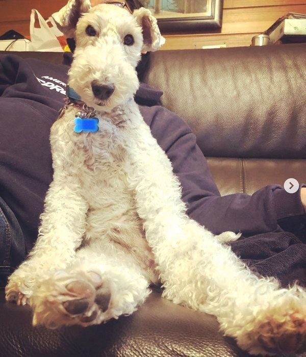 くつろぐこっぺぱんちゃん