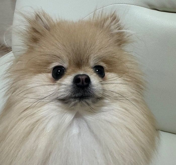 「パパ」という言葉を聞いて少し機嫌が直ったなごみちゃん