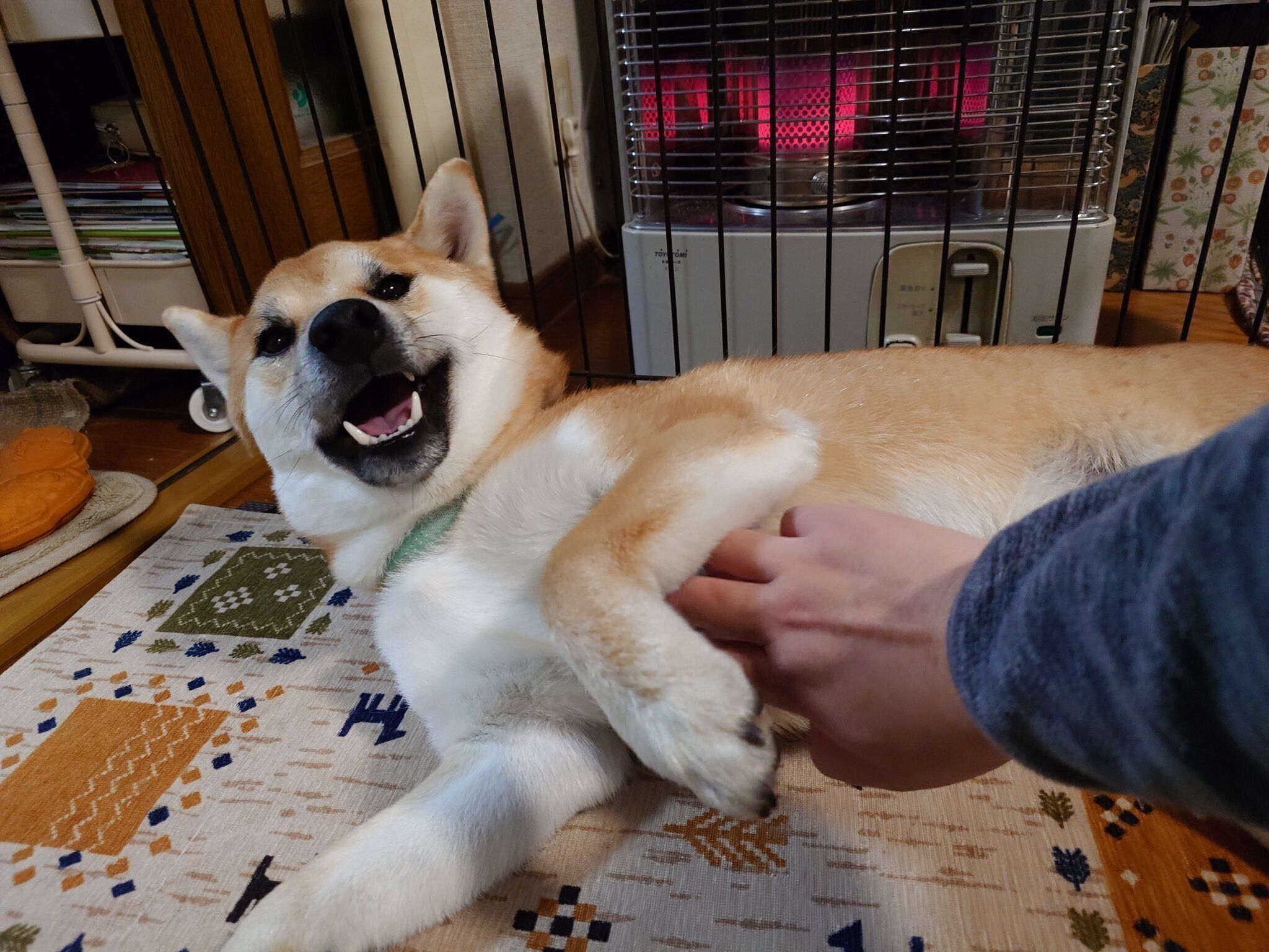 寝転がる竜太くん