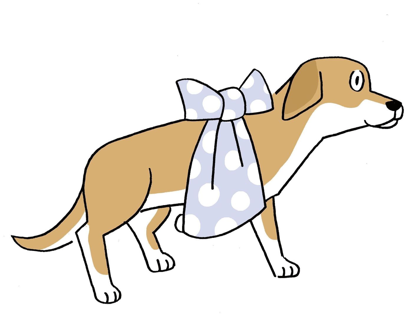 犬が骨折したら どうすればいい もしものときの応急処置をチェックしよう いぬのきもちweb Magazine 犬が骨折したら どうすればいい もしものときの応急処置をチェックしよう いぬのきもちweb Magazine