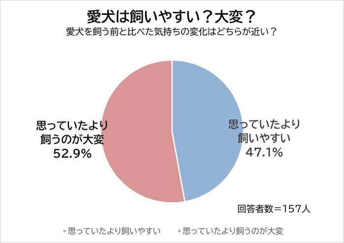 愛犬は飼いやすい?大変?