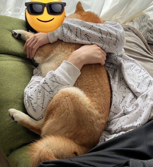 パパさんとぎゅっと抱き合いながら眠るもなかまるちゃん