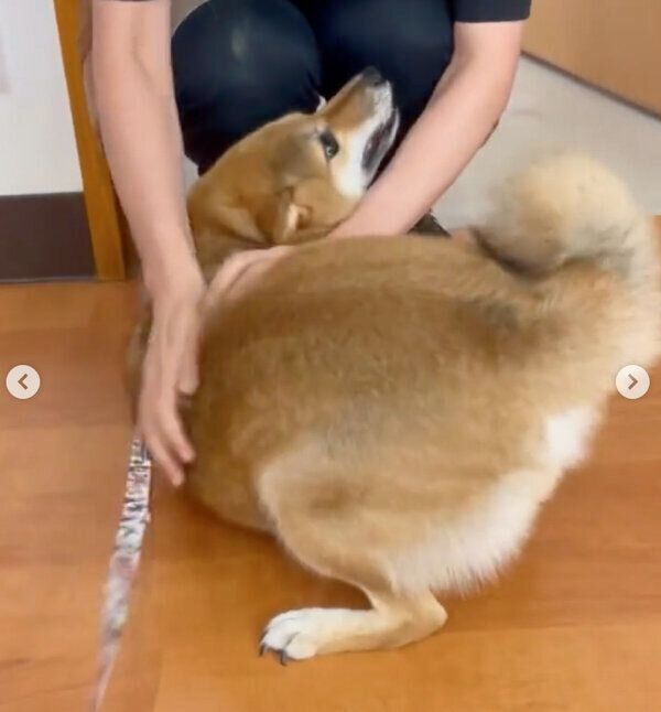 月1回通っているサロンのお姉さんに、喜びを爆発させるぽんずさん