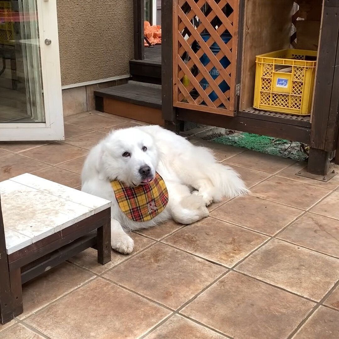 じらしているルンルンちゃん