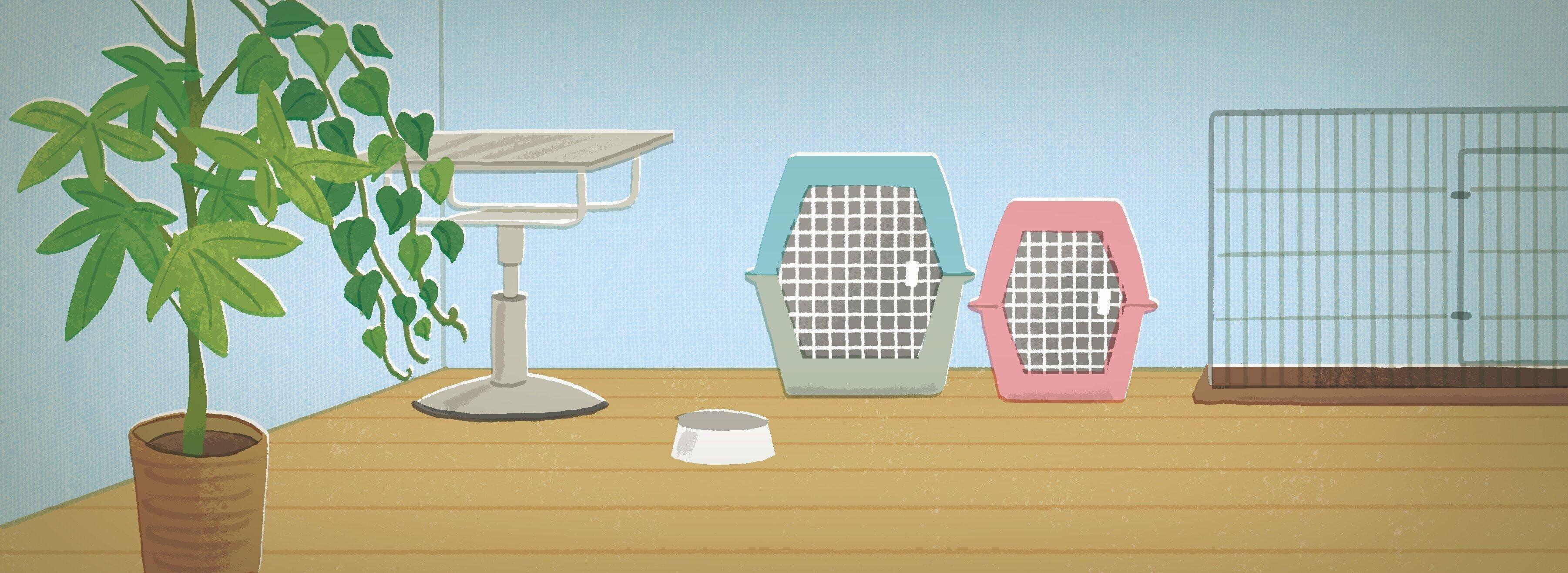 イラスト／橋本豊