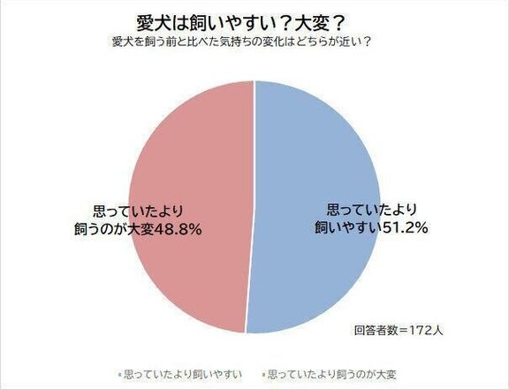 Q.ミニチュア・ダックスフンドは飼いやすい?思っていたより飼うのが大変?