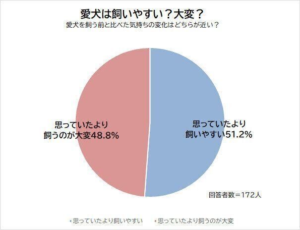 愛犬は飼いやすい?大変?