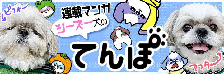 連載マンガ「シーズー犬のてんぽ」