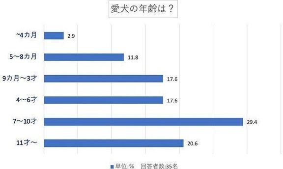 愛犬の年齢は？