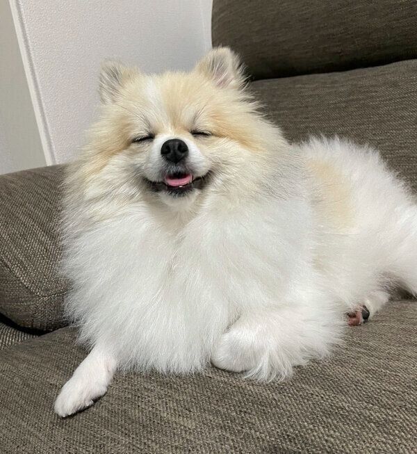 まったりするちくわくん