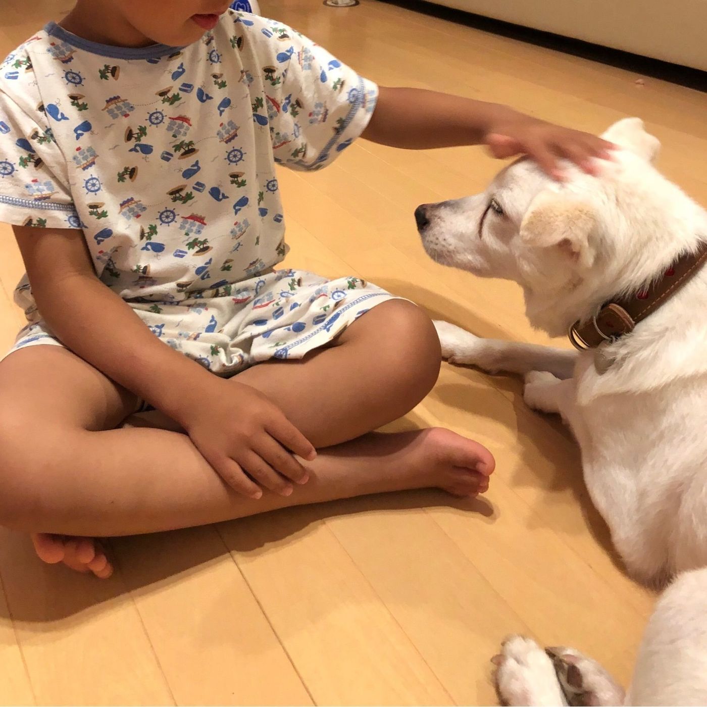 子どもたちと出会いは意外な展開に 連載 おばあちゃん犬がやってきた 第5回 いぬのきもちweb Magazine 子どもたちと出会いは意外な展開に 連載 おばあちゃん犬がやってきた 第5回 いぬのきもちweb Magazine