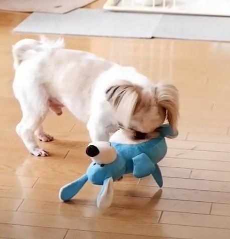 おもちゃを盗られたくない、えいとくん