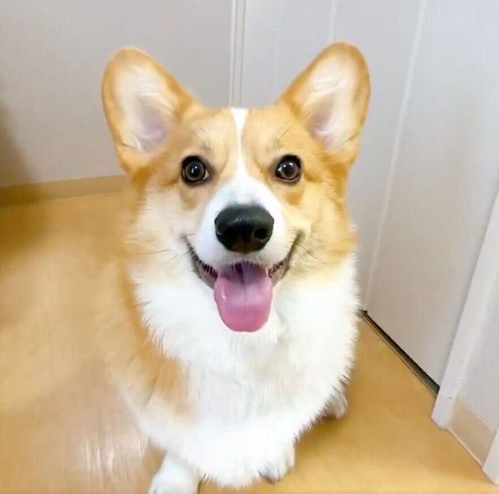 ニコニコ顔が可愛い柊くん