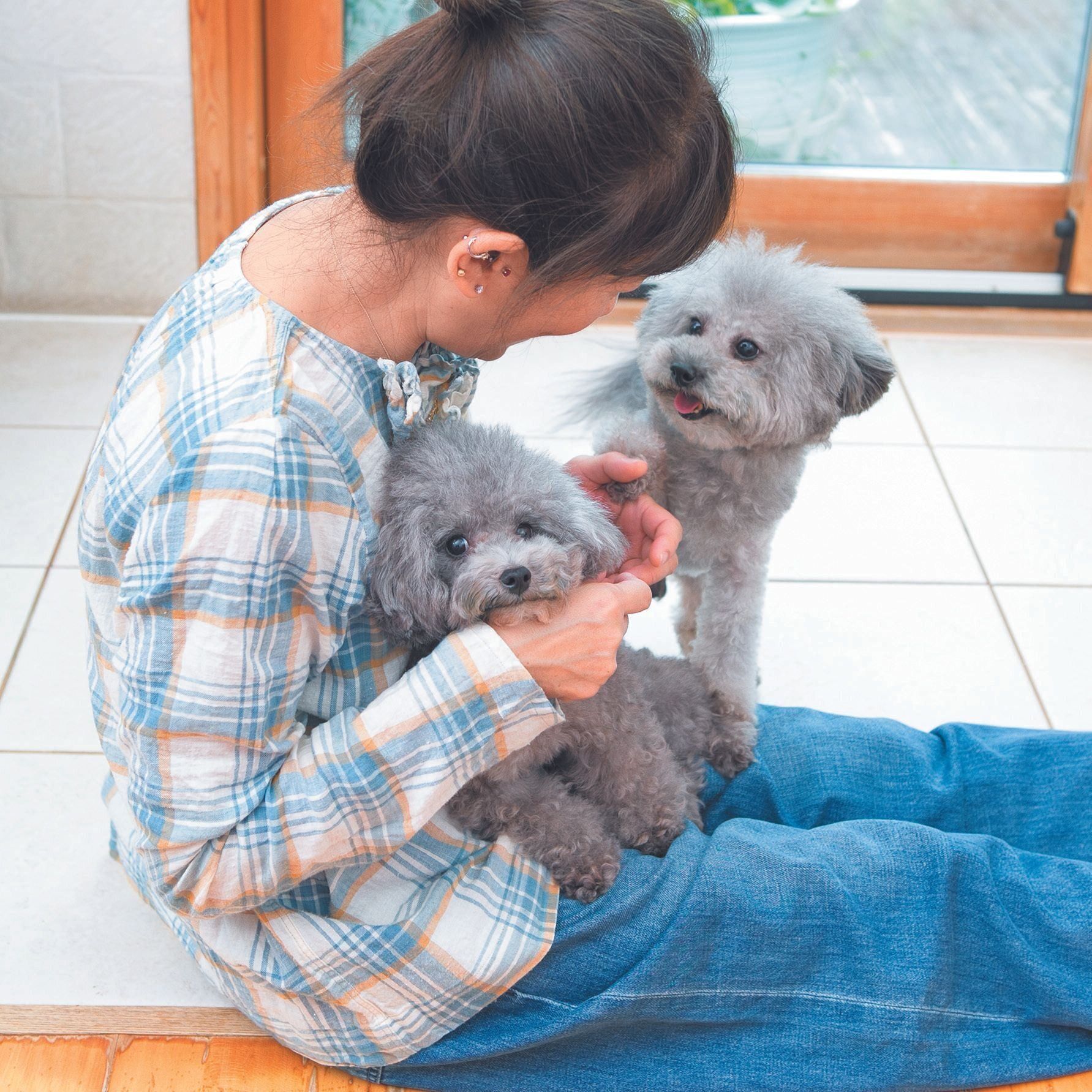 犬にも「うらやましい」という感情や嫉妬心があるといわれている