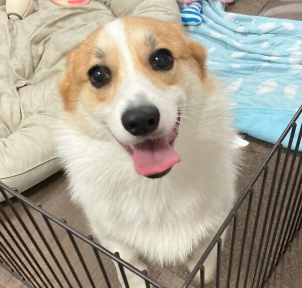 笑顔が可愛いモルトちゃん