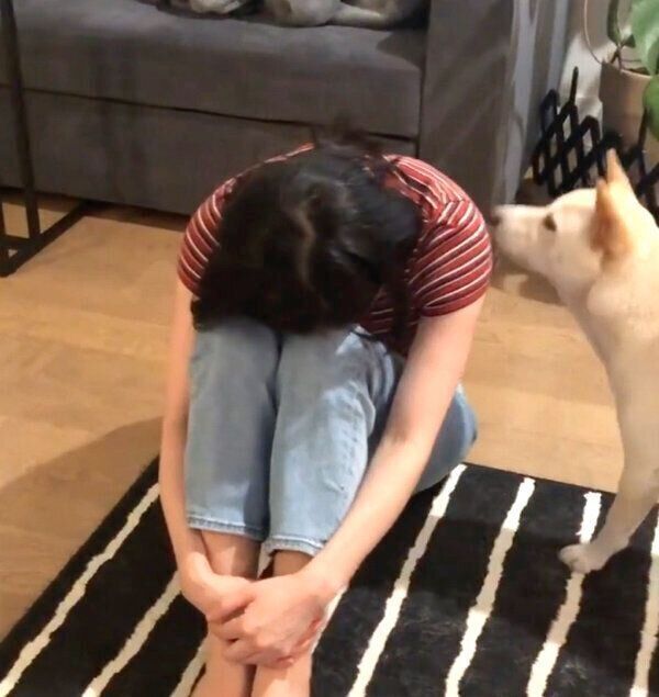 飼い主さんを励ますつきちゃん