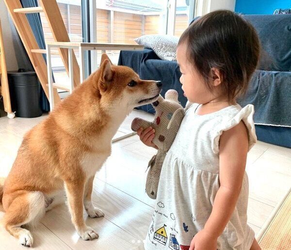 見つめ合う花子ちゃんとモモ子ちゃん