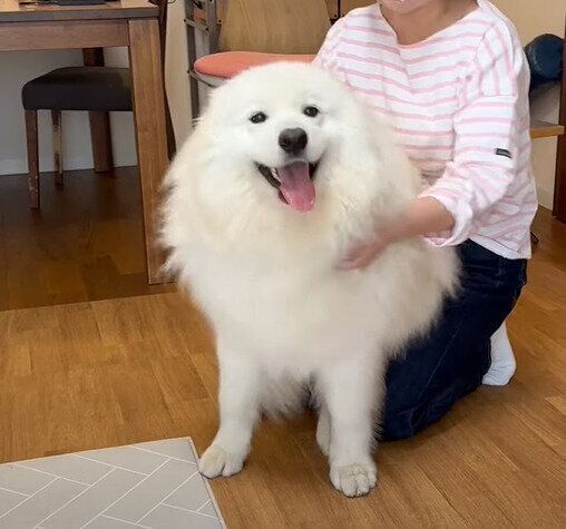 嬉しそうなサニーちゃん
