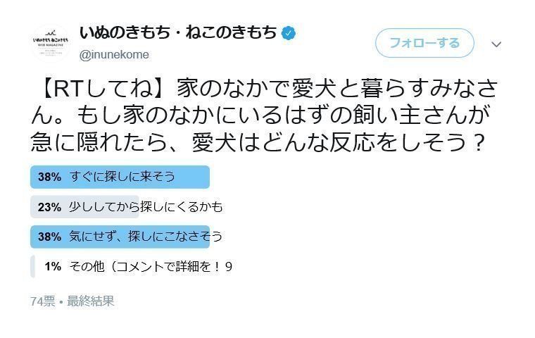 ツイッターアンケート_飼い主さんが隠れたら