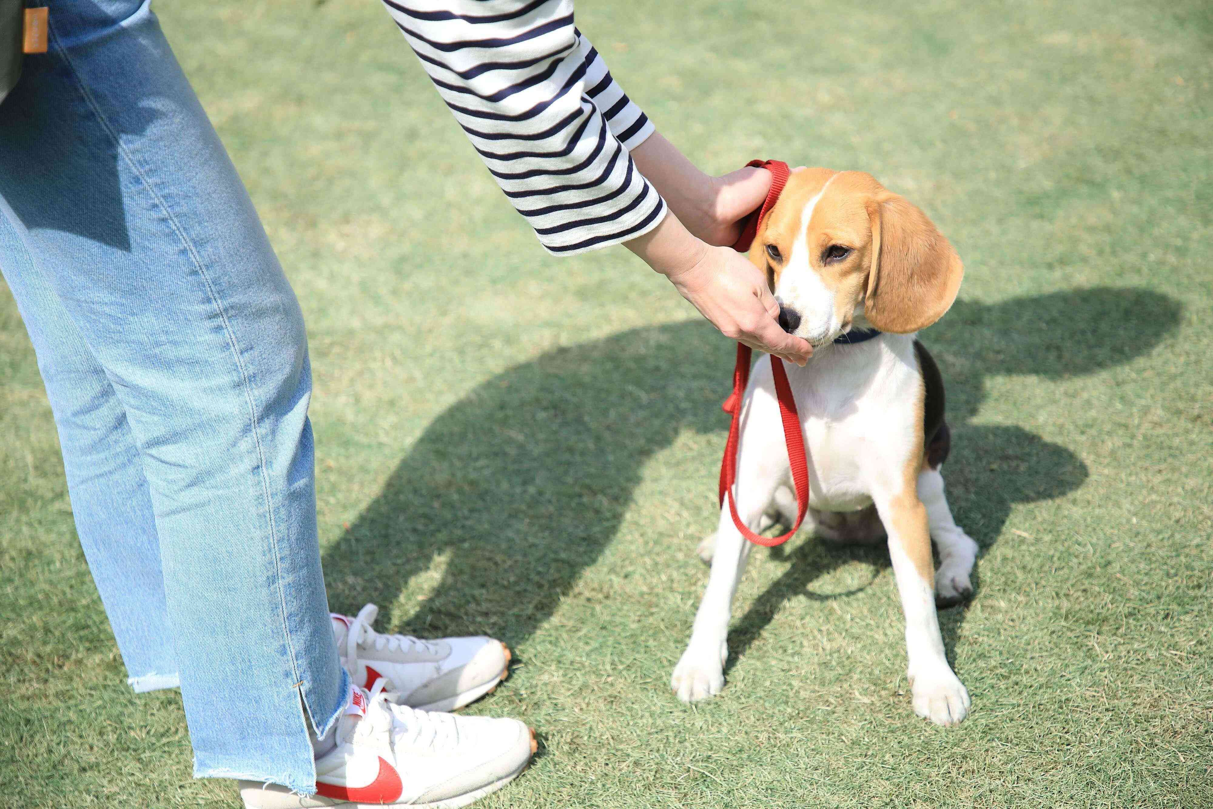 撮影／尾﨑たまき