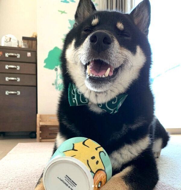 笑顔のこてつくん