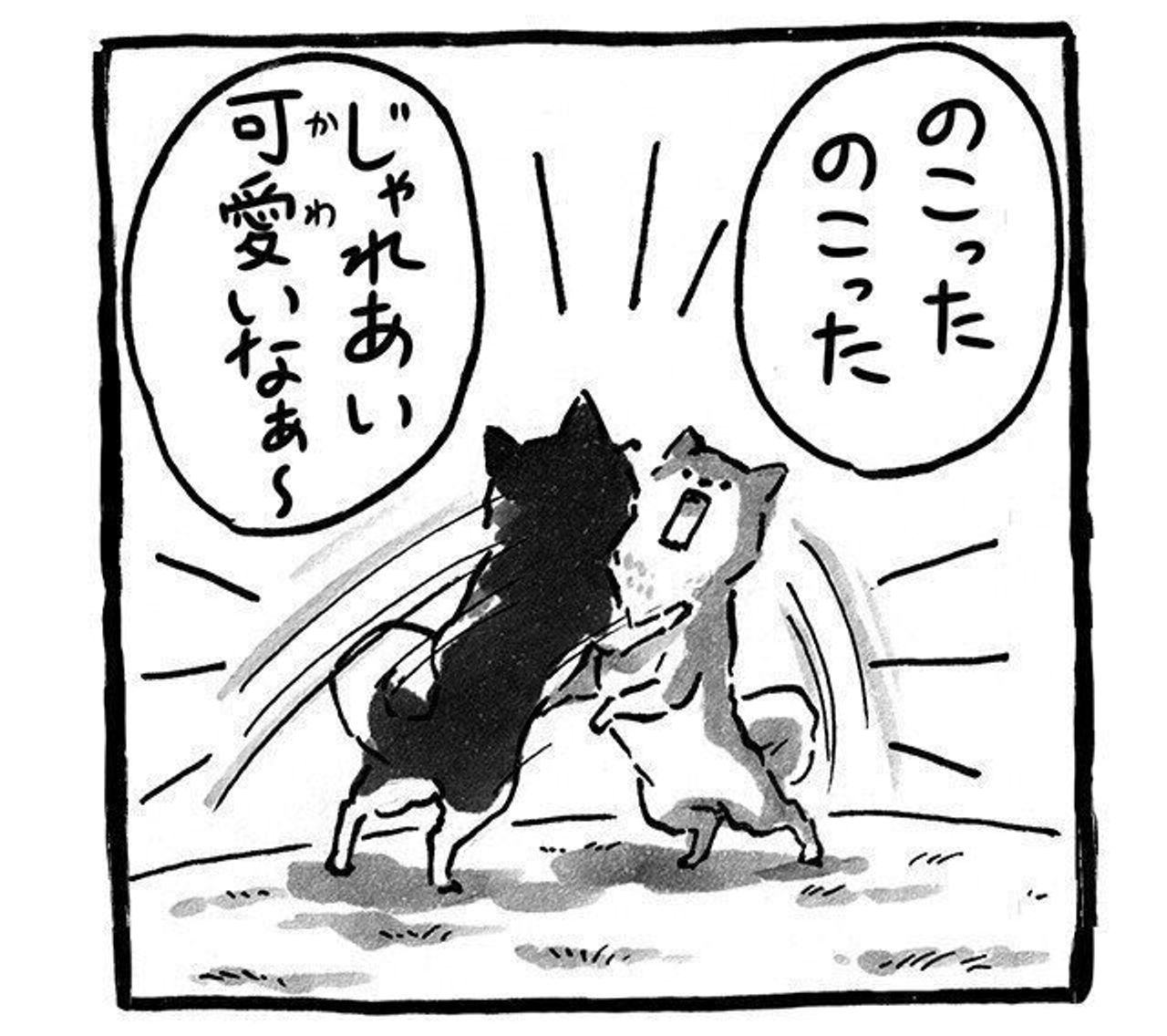 ドッグランだぞ さあ と言われても 連載 シーズー犬のてんぽ 第159回 いぬのきもちweb Magazine ドッグランだぞ さあ と言われても 連載 シーズー犬のてんぽ 第159回 いぬのきもちweb Magazine