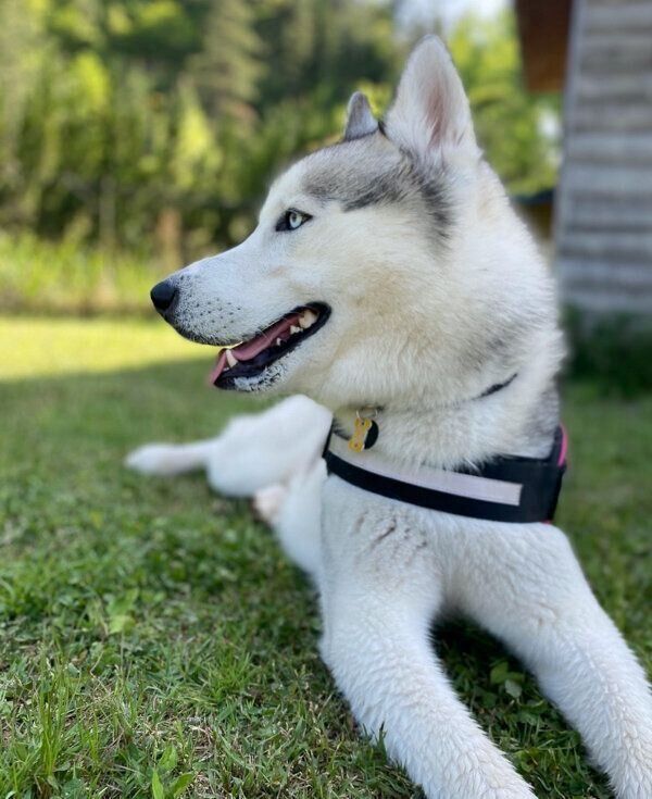 楽しそうなルディくん