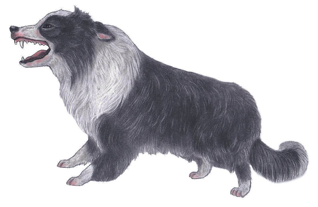 腰を引きぎみにして耳も倒れていたら、「怖いからやめて！」という怒り