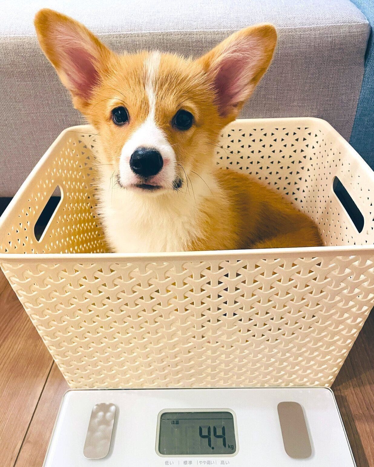 生後3カ月になったこっぺくん