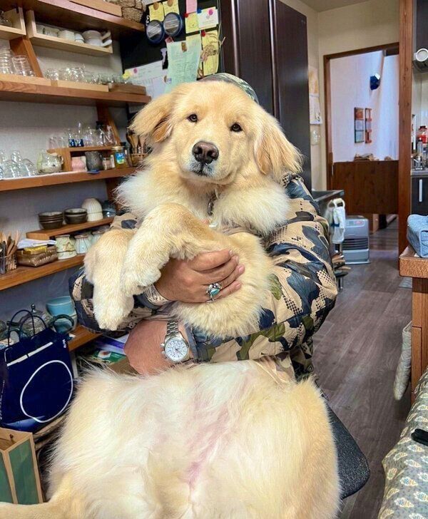 抱っこされるディッパーくん