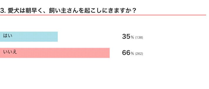 いぬのきもちWEB MAGAZINE　「犬飼いあるある」に関するアンケートvol.07