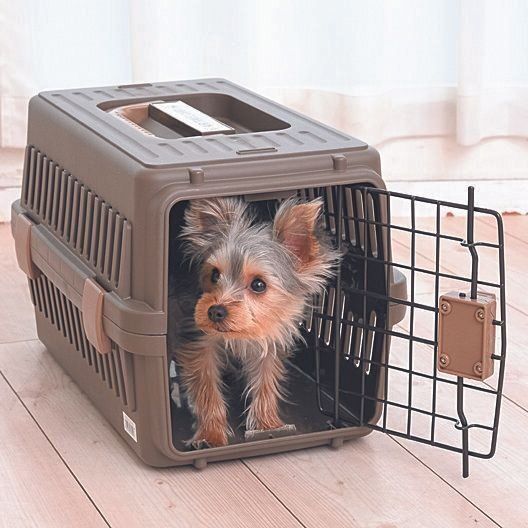 クレートは犬の本能を考えた寝床