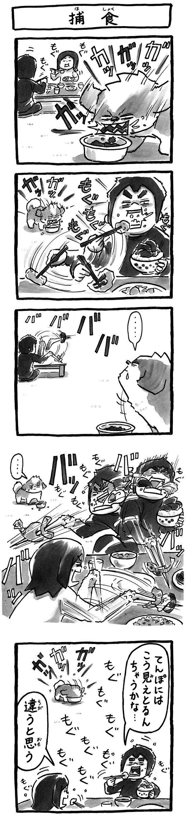 シーズー犬マンガてんぽshihtzu