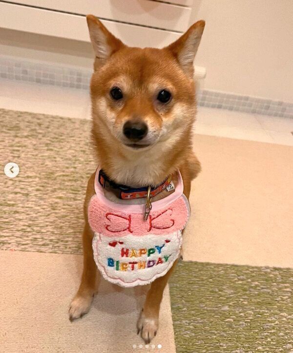 1才になったこうめちゃん