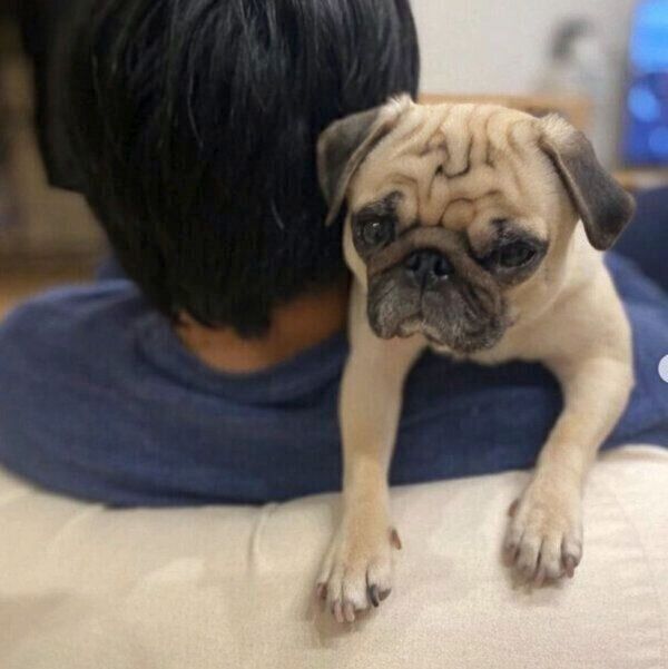 パパさんにくっつくむぎちゃん