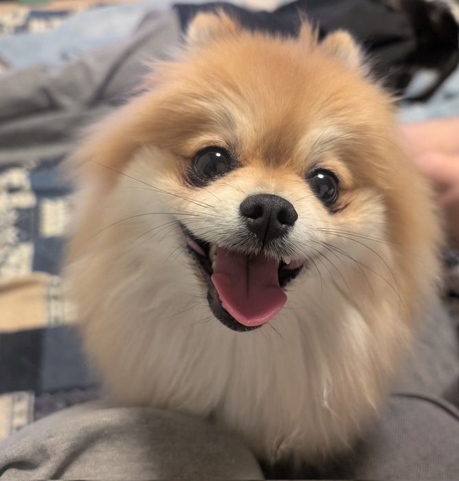 ニコニコ笑顔のぽてちくん