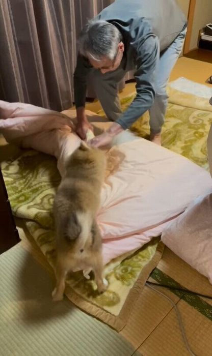 邪魔をする獅子丸くんとお構いなしのじいじ