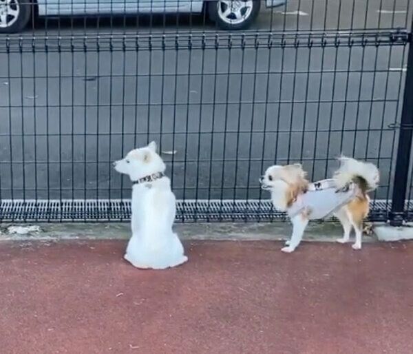 他のコを無視するほあちゃん