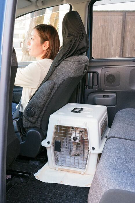 クレートで車移動する犬