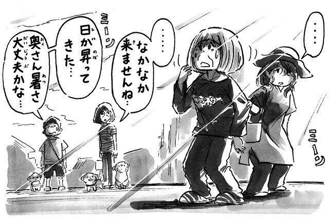 シーズー犬マンガてんぽshihtzu