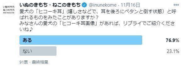 アンケート結果