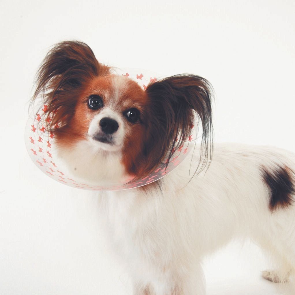 患部を守るための医療用アイテム