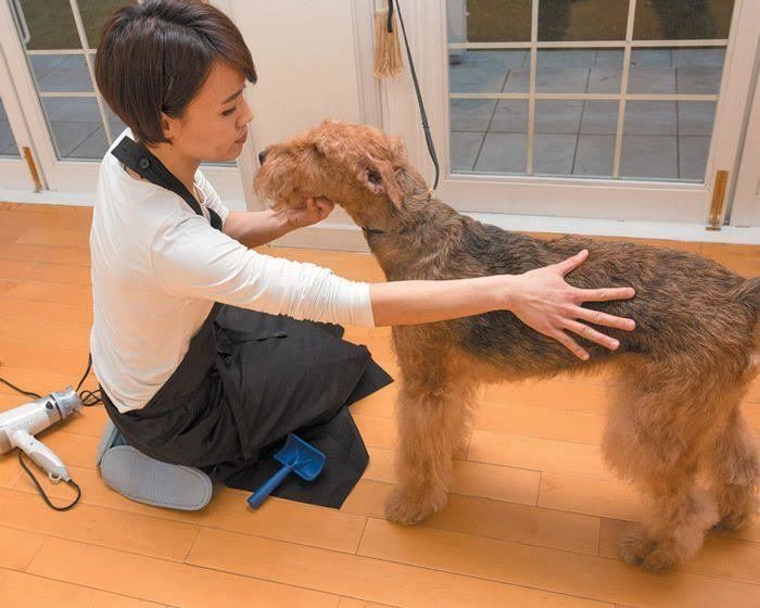 犬の乾きむらチェック