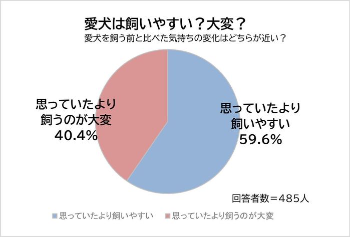 思っていたより飼いやすい?飼うのが大変?