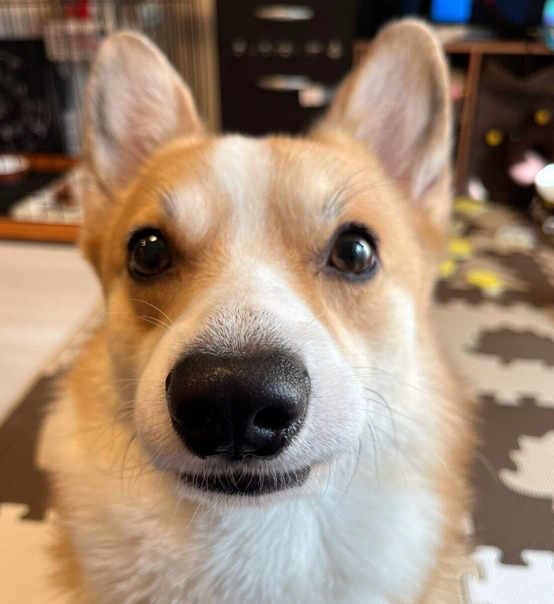 見つめるはるたくん