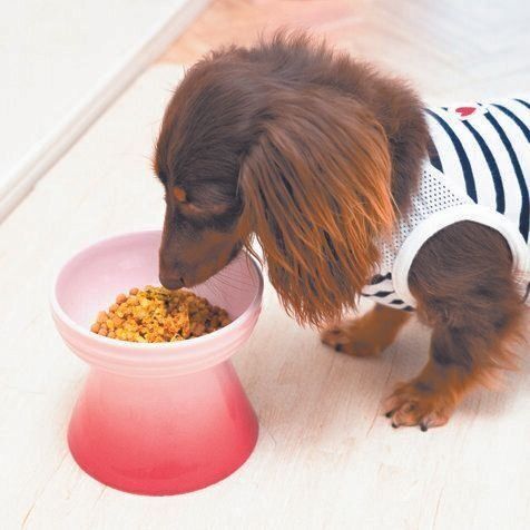 ゴハンでも筋肉強化を目指す