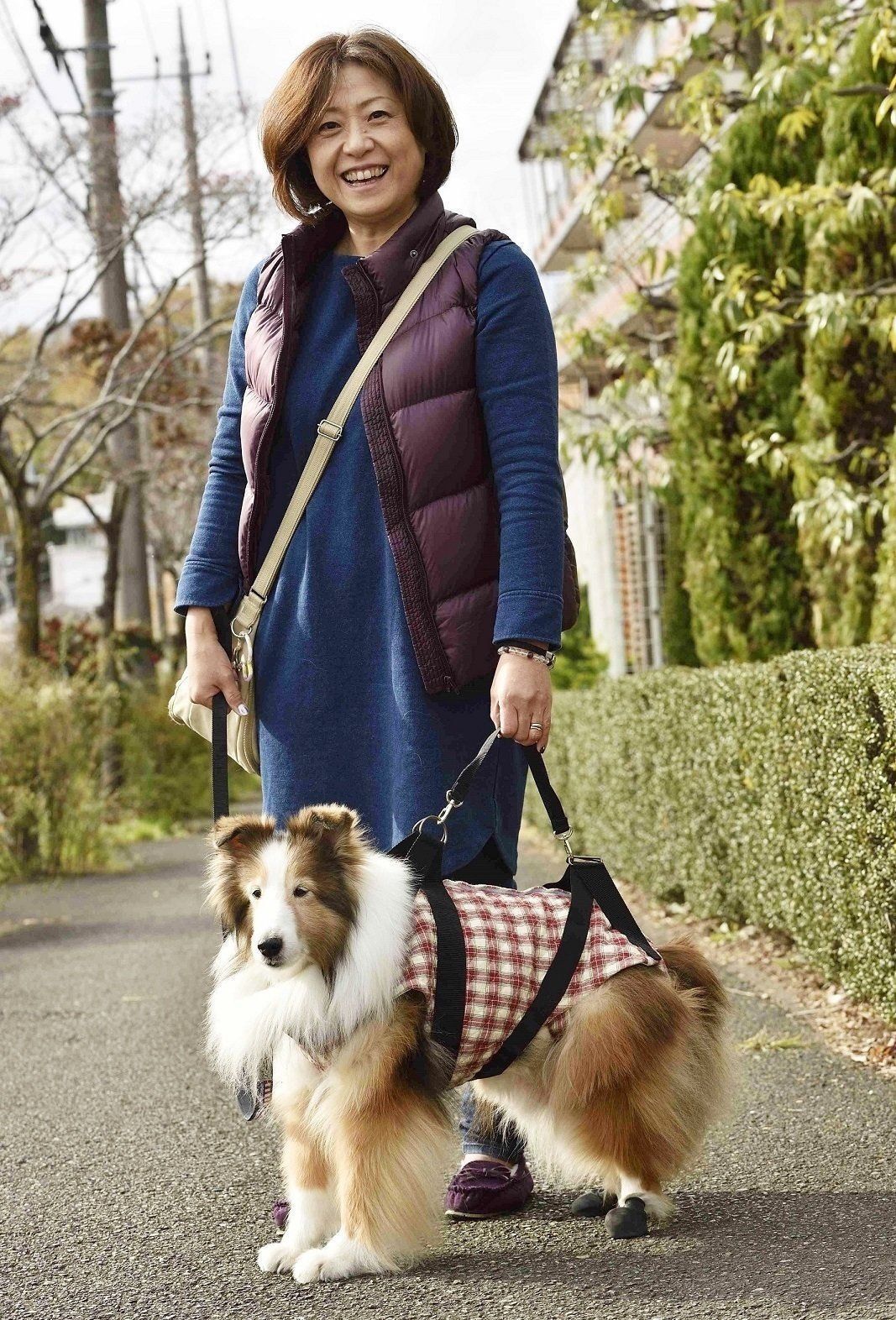 現在は、転倒予防として、オーダーメイドした介助ベルトを使って散歩をすることも。